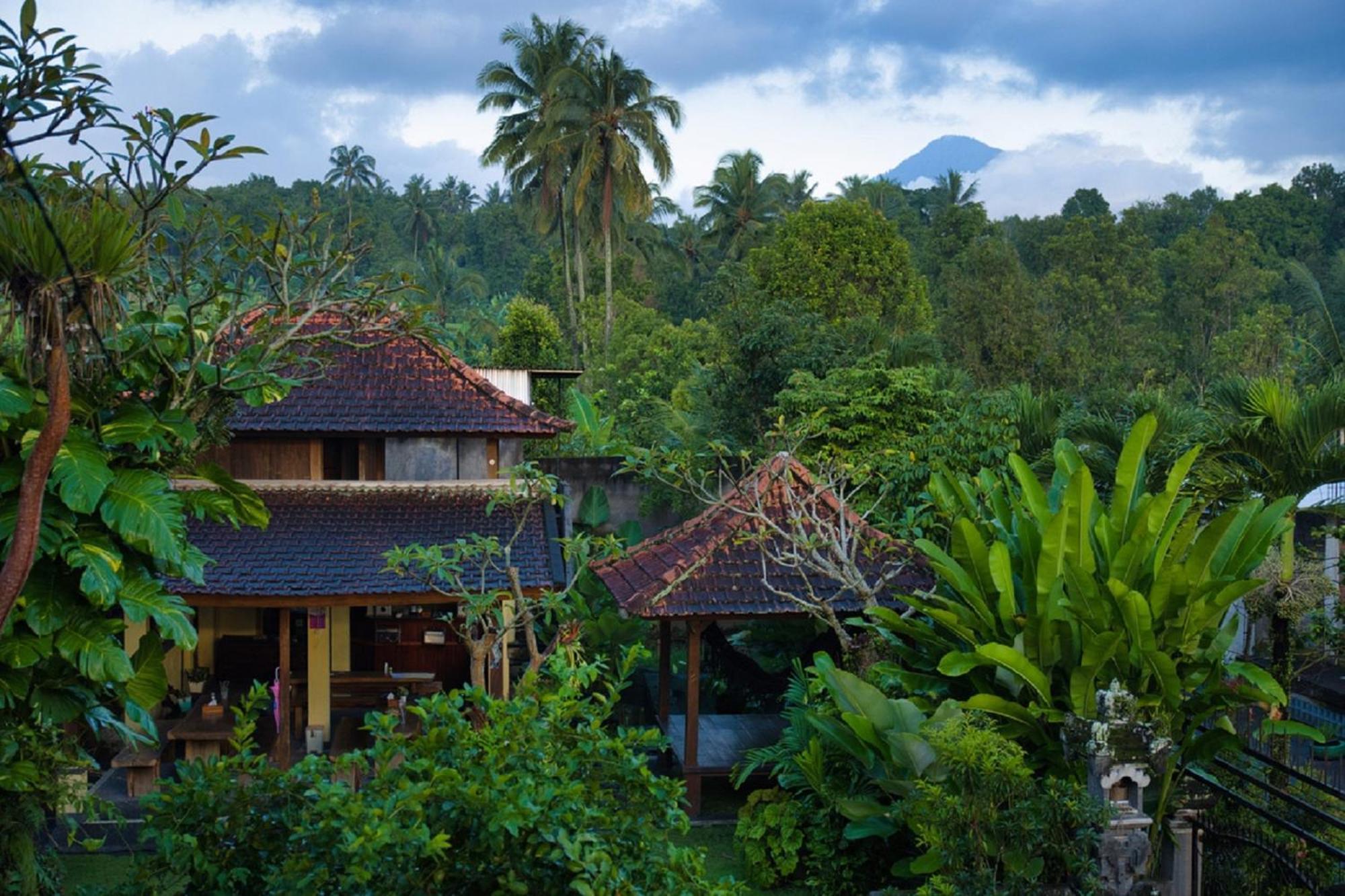 Desa Hostel Munduk  Exterior photo